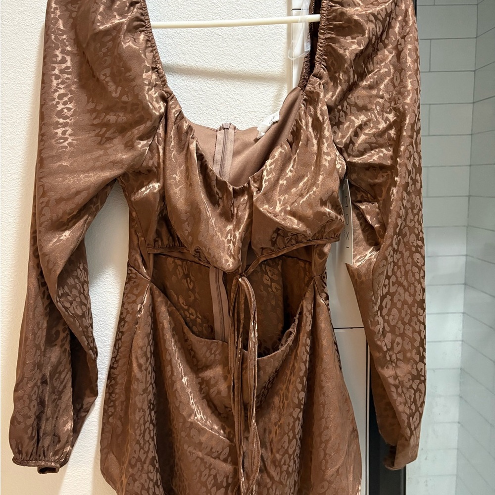 Brown Animal Print Long Sleeve Dress